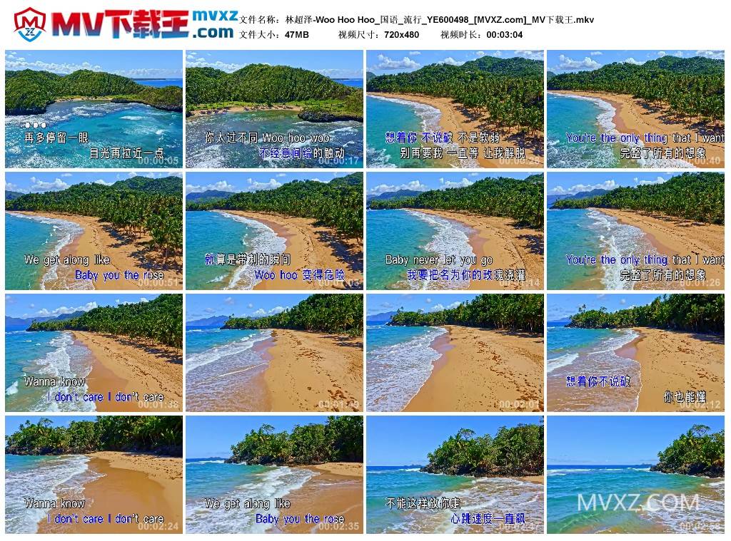 林超泽-Woo Hoo Hoo_国语_流行_YE600498